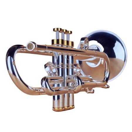 Trompeta Instruvents Arocha Plateada Sib - sanganxa.com