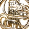 Double Horn MTP 903 GA Custom - Sanganxa.com