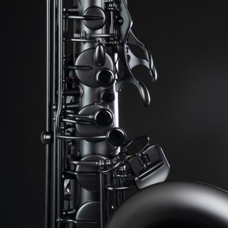 Saxo Alto Selmer Supreme 140 Aniversario -sanganxa.com
