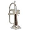 Flugelhorn Adams F2 LT Select Model Silver - sanganxa.com