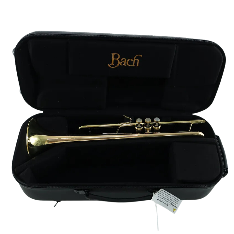 Trompeta Bach 17043GYR Apollo - Sanganxa.com