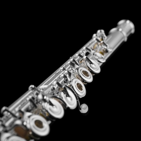 Flauta Di Zhao DZ601BEF Cabeza de Plata -sanganxa.com