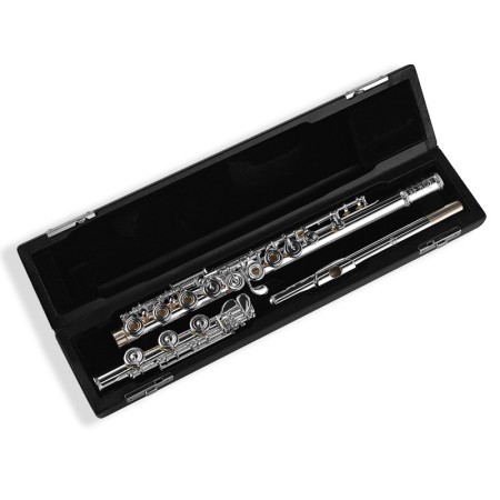 Flauta Di Zhao DZ801BEF 14k Gold Riser -sanganxa.com