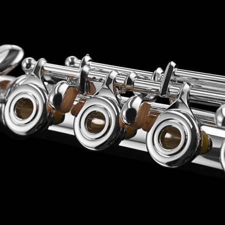 Flauta Di Zhao DZ801BEF Elevador em ouro de 14k - sanganxa.com