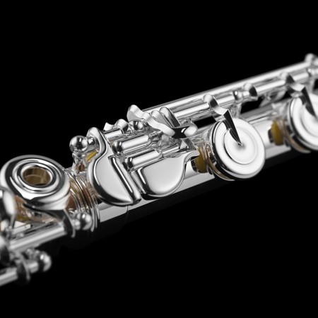 Flauta Di Zhao DZ801BEF 14k Gold Riser -sanganxa.com