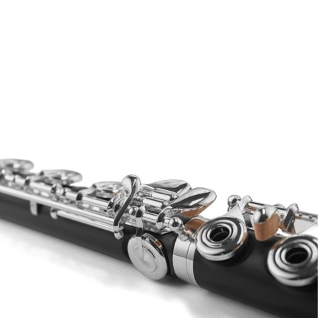 Flauta de Madera Di Zhao DZW-B BEF -sanganxa.com