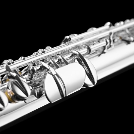 Flauta alto Di Zhao DZA100 - sanganxa.com