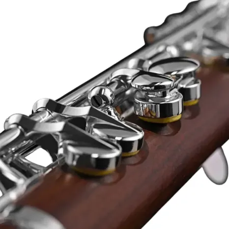 Piccolo Di Zhao DZP 301 Palo Rosa - sANGANXA.COM