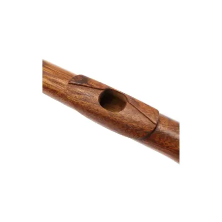 Flautín Di zhao DZP 301 Profile HJ -sanganxa.com