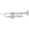 trompeta yamaha ytr8335 rcs commercial