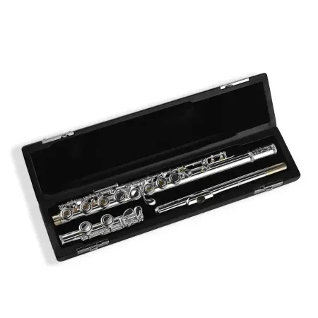 Flauta Di Zhao DZ301 CEF Platos Abiertos -sanganxa.com