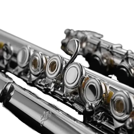 Flauta Di Zhao DZ301 CEF Platos Abiertos -sanganxa.com