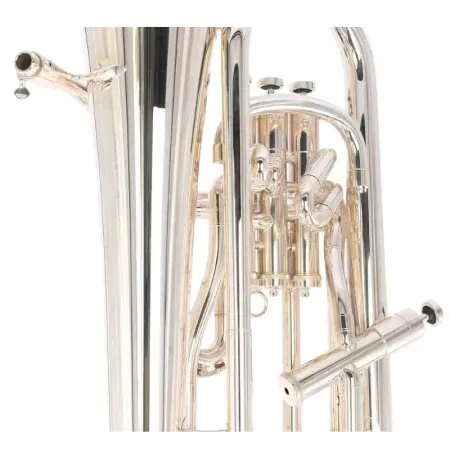 Eufónio Adams E2-LT Select Model - sanganxa.com