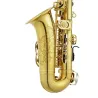 saxofone alto jupiter jasstrq stellar