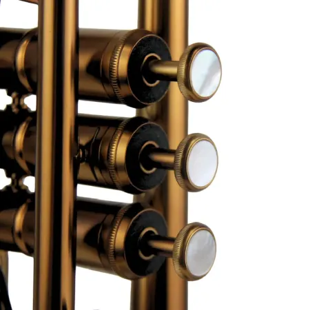 Trompeta Adams A10 Custom Satin Bronze -sanganxa.com