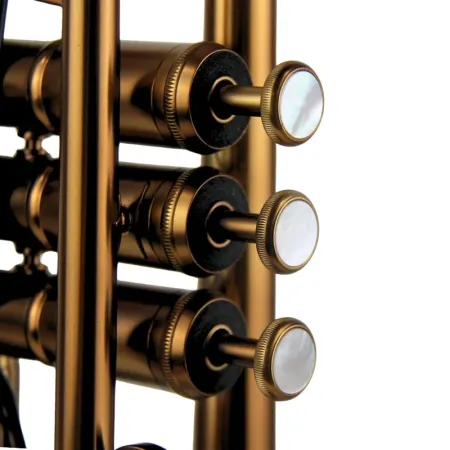 Trompeta Adams A10 Custom Satin Bronze -sanganxa.com
