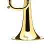trompete bys mbxr heritage gold lacado