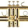 trompete bys mbxr heritage gold lacado