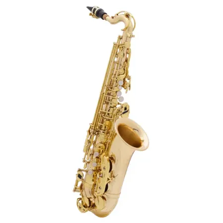 Saxofone Alto MTP Início Lacado - Sanganxa.com