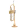 Trompete MTP T200G Goldbrass -sanganxa.com