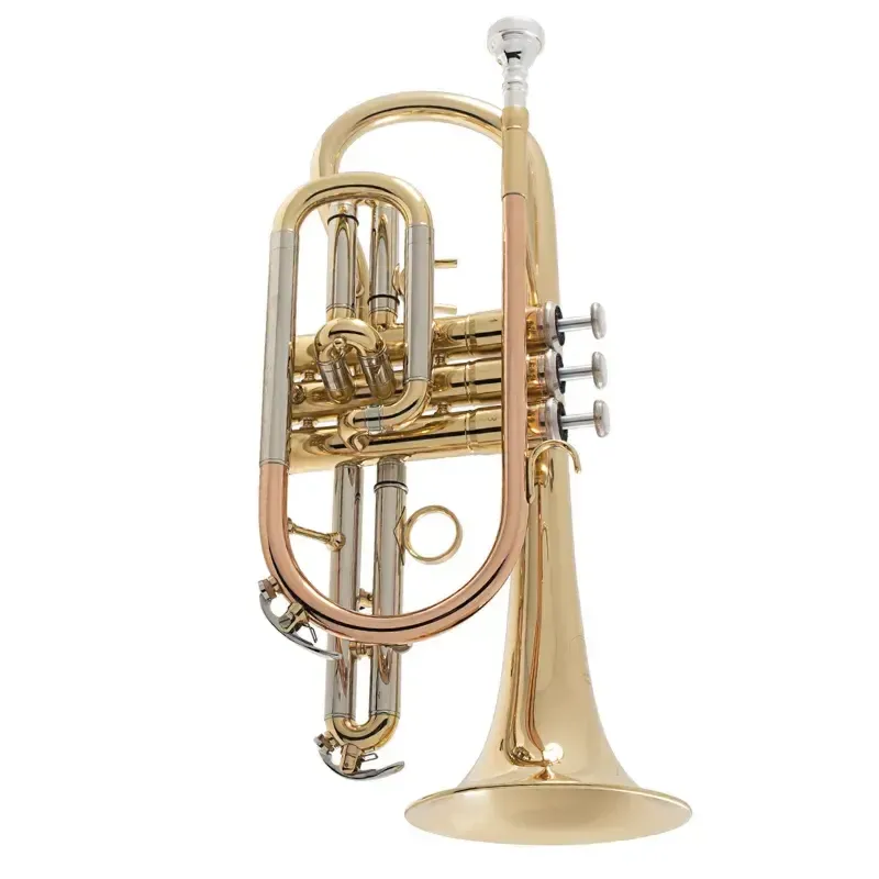 corneta estudio mtp 300g