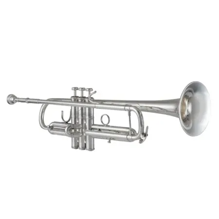 Trompete Bach 170S43GY Apollo -sanganxa.com