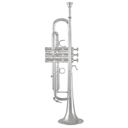 Trompete Bach 170S43GY Apollo -sanganxa.com
