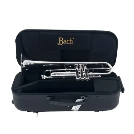 Trompeta Bach 170S43GY Apollo -sanganxa.com