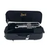 Trompete Bach 170S43GY Apollo -sanganxa.com