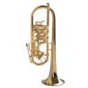 TROMPETA OBERRAUCH FIRENZE DO RAW BRASS