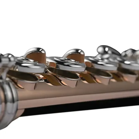 Flauta Di Zhao DZ GSD BEF 14k Gold Riser 10k