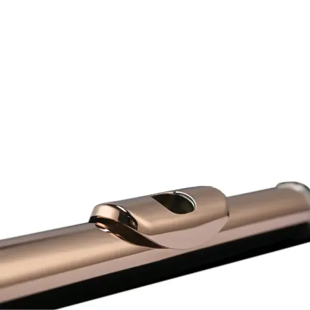 Flauta Di Zhao DZ GSD BEF 14k Gold Riser 10k