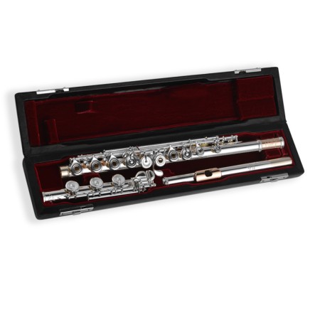 Flauta Di Zhao DZ GSD BEF 14k Gold Riser 10k