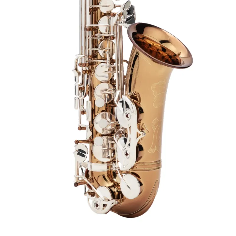 Saxo Alto Yamaha YAS-62 Limited Edition 2025 - Sanganxa.com