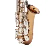 Saxofone Alto Yamaha YAS-62 Edição Limitada 2025 - Sanganxa.com