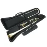Trombone Courtois AC423 BHR Amesterdão -sanganxa.com