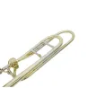 Trombone Courtois AC423 BHR Amesterdão -sanganxa.com