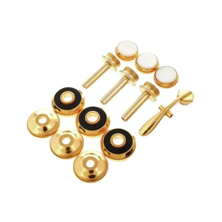 Kit para trompete Bach 1811G Dourado -sanganxa.com