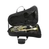 Baritone Horn MTP 231-4 Serie II en sib, lacado