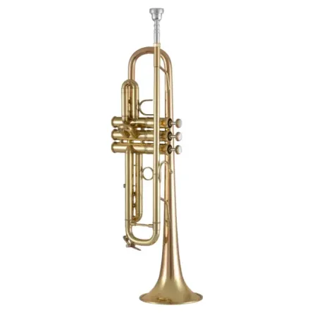 Trompeta Bach 17043GY Apollo Lacada