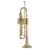 Trompeta Bach 17043GY Apollo Lacada