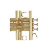 trompete bach 170s43gy apollo lacado
