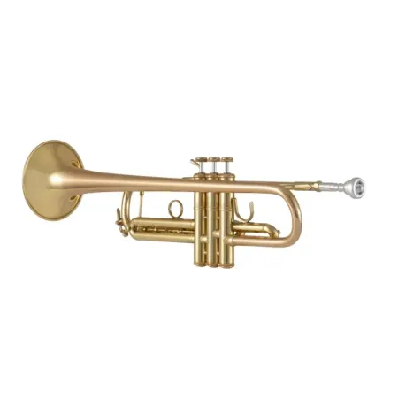 Trompeta Bach 17043GY Apollo Lacada