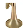Trompeta Bach 17043GY Apollo Lacada