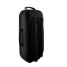 Trompeta Bach 17043GY Apollo Lacada