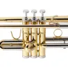 Trompete Courtois Bellecour AC233