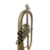 Fliscorno Adams F2 SM Goldbrass 0,55 Brushed Segunda Mano
