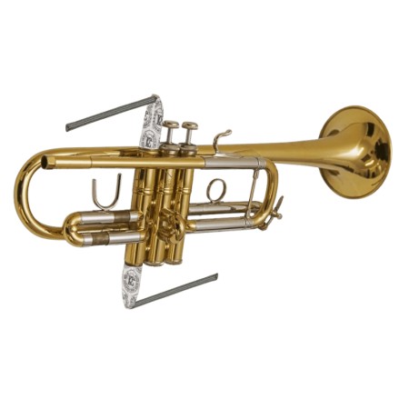 Limpador BG A31 T2, para pistões de trompete