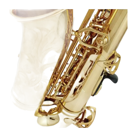 Saxofone Alto Yamaha YAS-62 ? Sanganxa Distribuidor Shokunin Select Yamaha