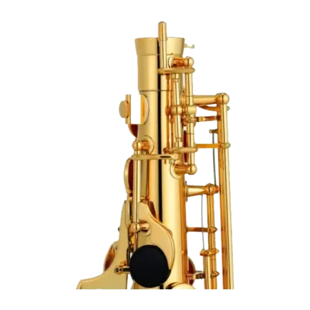 Saxofone Alto Yamaha YAS-480 ? Sanganxa.com
